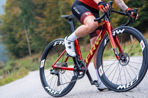 世界名牌自行車(chē)前十名福倫王土撥鼠進(jìn)口中國(guó)自行車(chē)最好的三個(gè)品牌